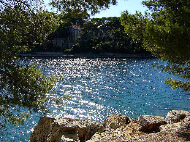p1020791.jpg