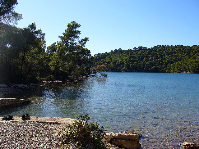p1020793.jpg