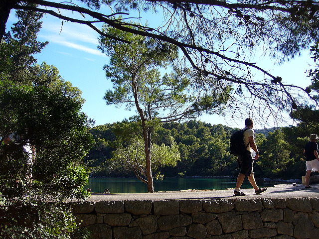 p1020794.jpg