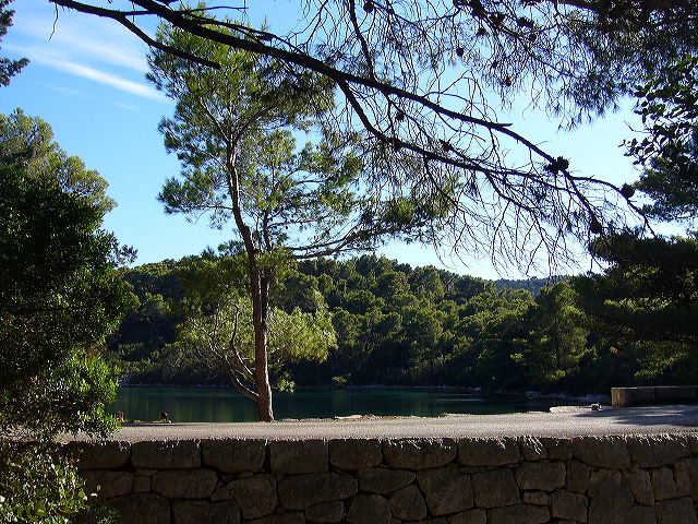 p1020795.jpg