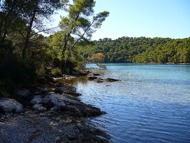 p1020801.jpg