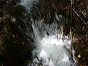 p1020420
