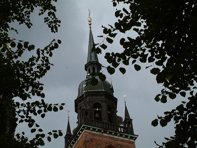 dscf0145.jpg