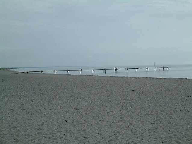 dscf0199.jpg