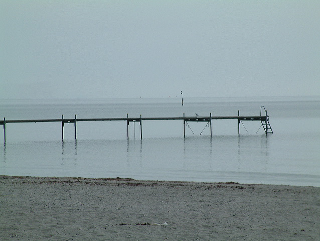 dscf0200.jpg