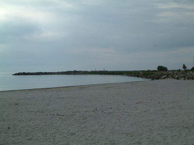 dscf0201.jpg