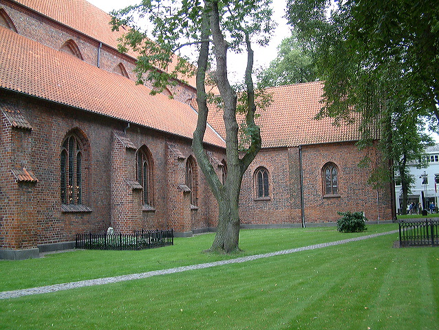 dscf0215.jpg
