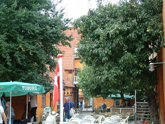 dscf0229.jpg