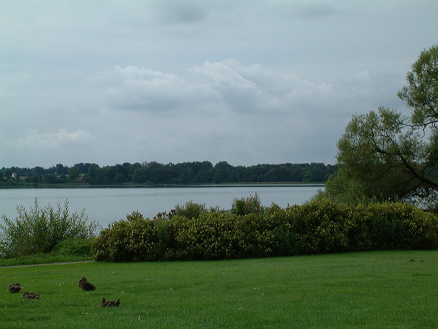 dscf0245.jpg