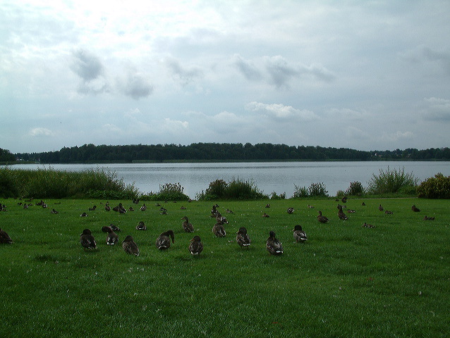 dscf0246.jpg