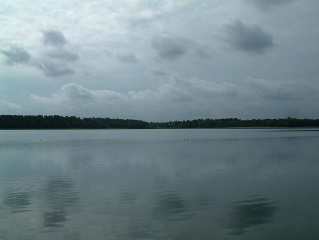 dscf0250.jpg