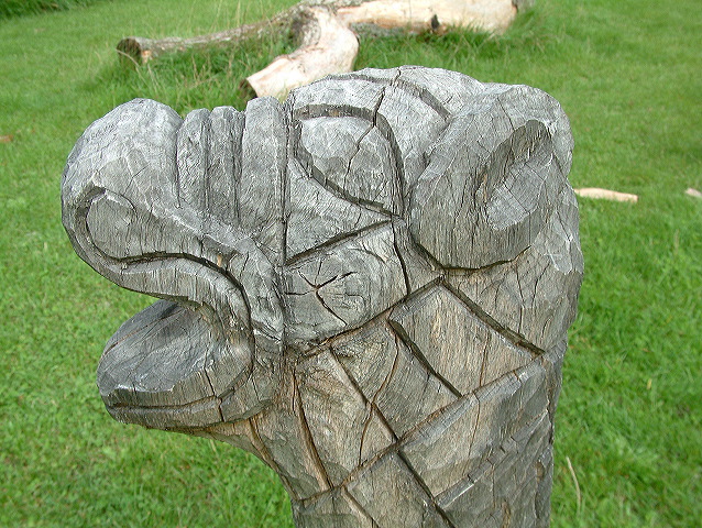 dscf0255.jpg