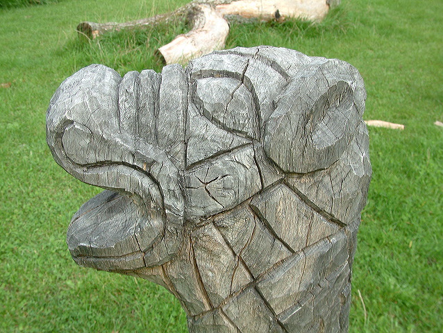 dscf0256.jpg