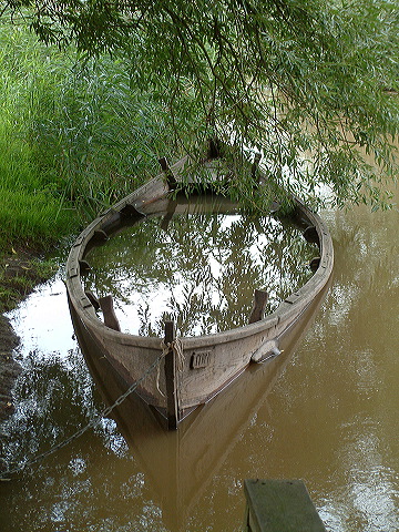 dscf0271.jpg
