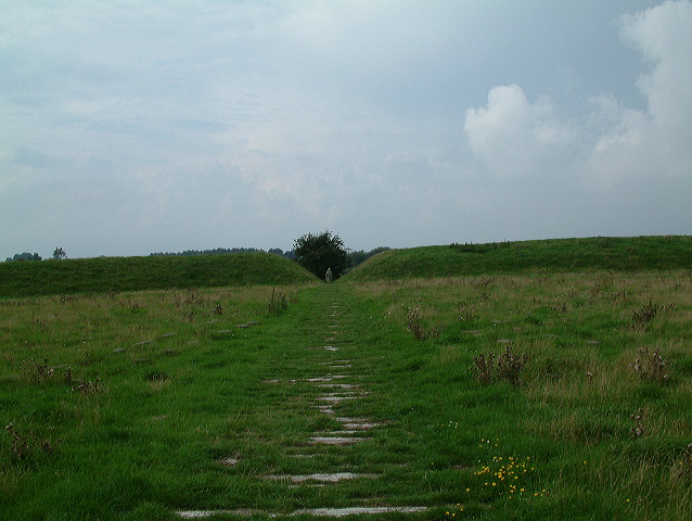dscf0282.jpg