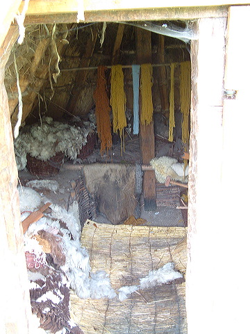 dscf0289.jpg