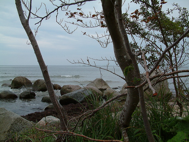 dscf0306.jpg