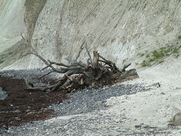 dscf0308.jpg