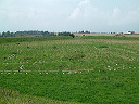 dscf0277