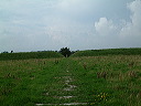 dscf0282