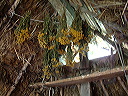 dscf0291