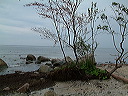 dscf0305