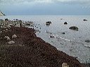 dscf0309