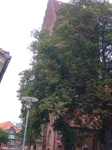 p1010295.jpg