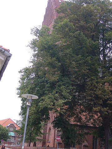 p1010296.jpg
