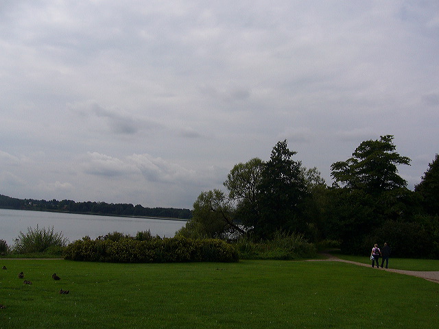 p1010345.jpg