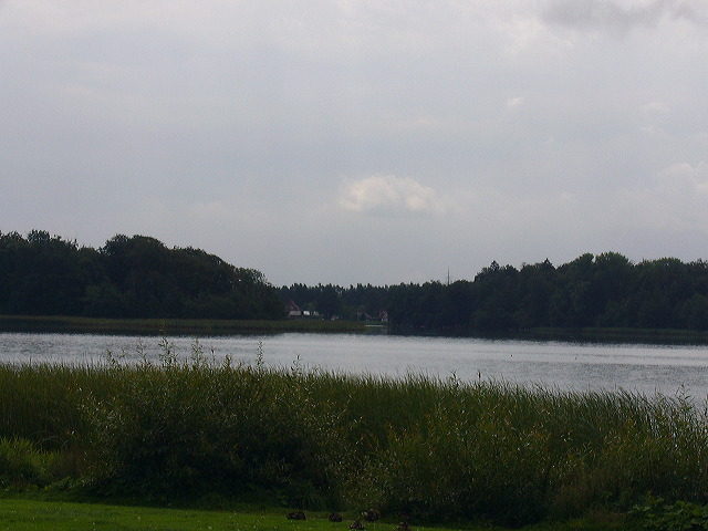 p1010346.jpg