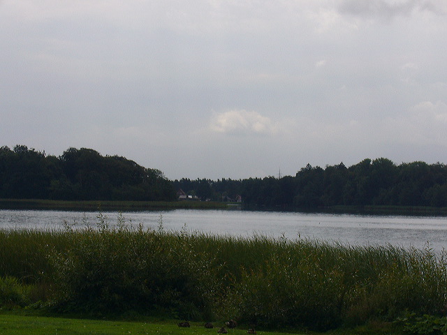p1010347.jpg