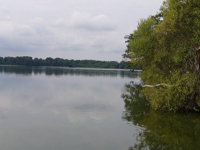 p1010358.jpg