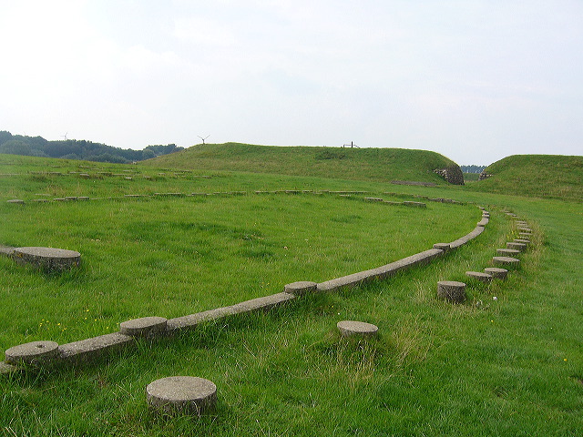p1010380.jpg