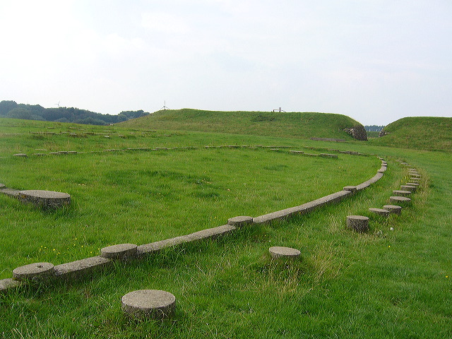 p1010381.jpg