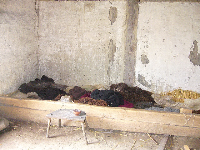 p1010403.jpg