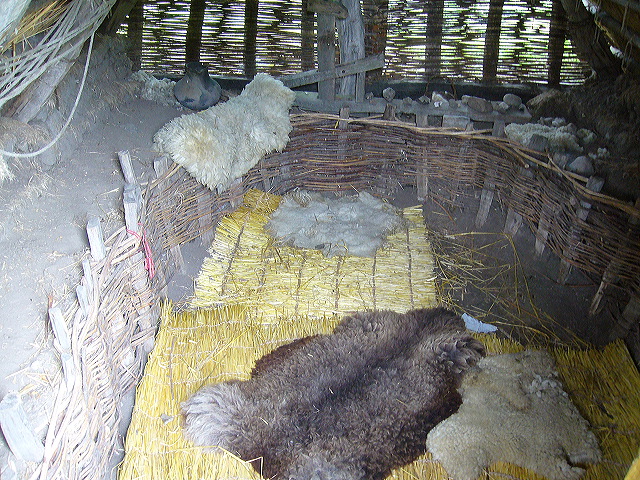 p1010407.jpg