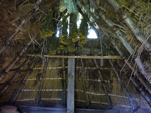 p1010412.jpg
