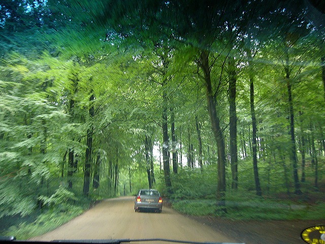 p1010414.jpg