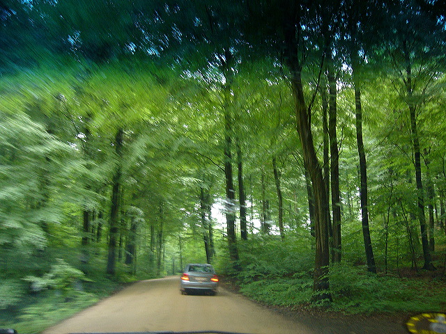 p1010415.jpg