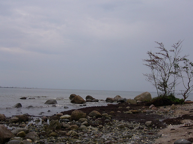 p1010425.jpg