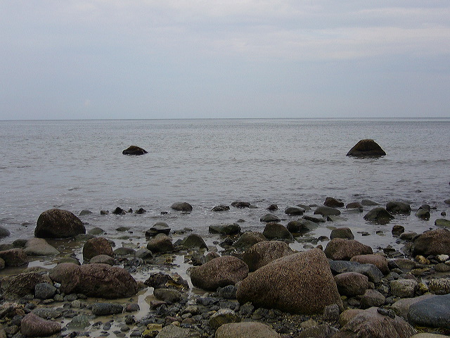 p1010427.jpg