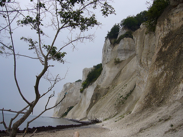 p1010436.jpg