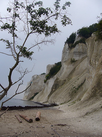 p1010439.jpg