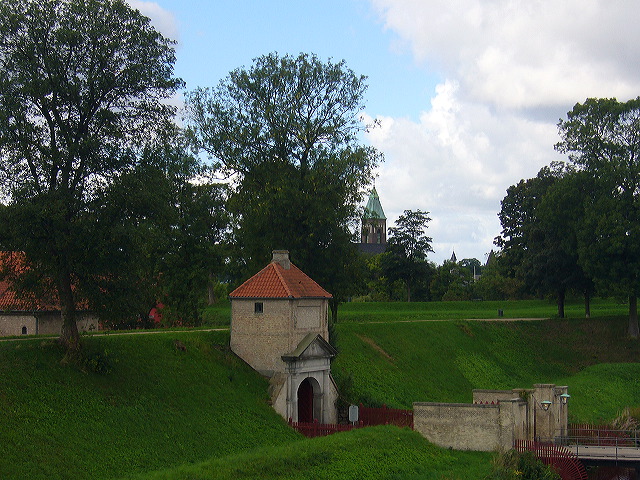 p1010550.jpg