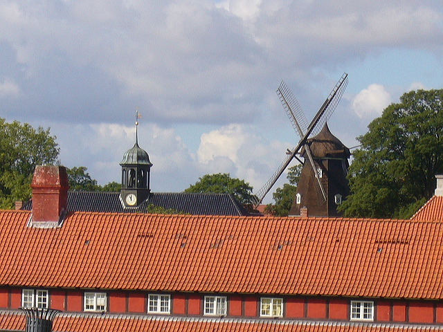 p1010553.jpg