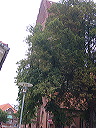 p1010295