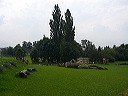 p1010361