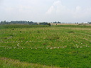 p1010386