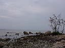 p1010425